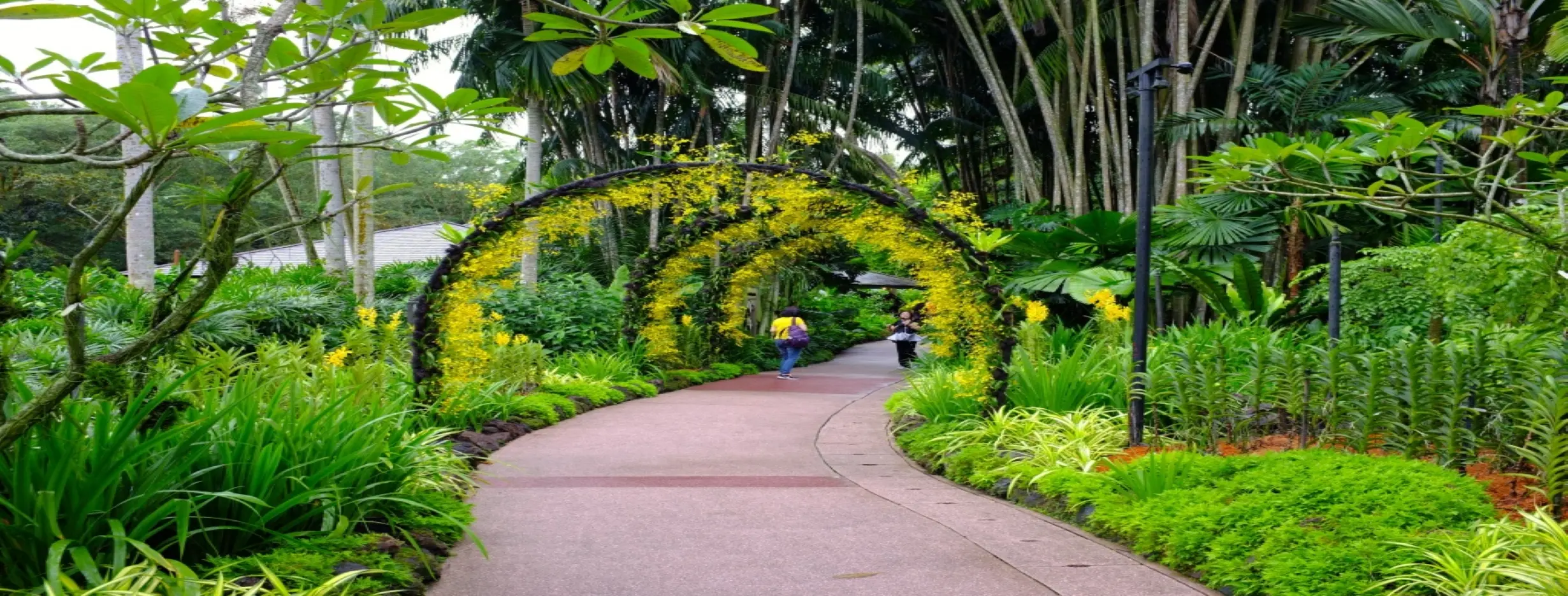 Image for Botanical Garden